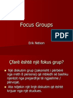 Focus Groups and Case Study (Erik Nelson) - Shqip