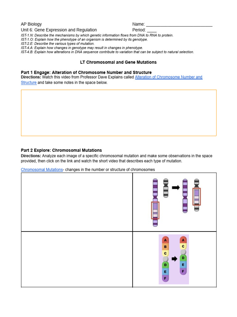AP Bio U6.7 LT Chromosomal and Gene Mutations 2025-2026 | PDF ...