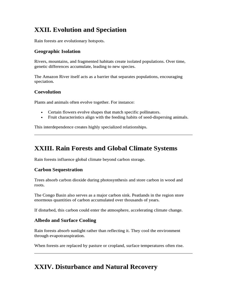 Rainforests 7 | PDF | Forests | Rainforest