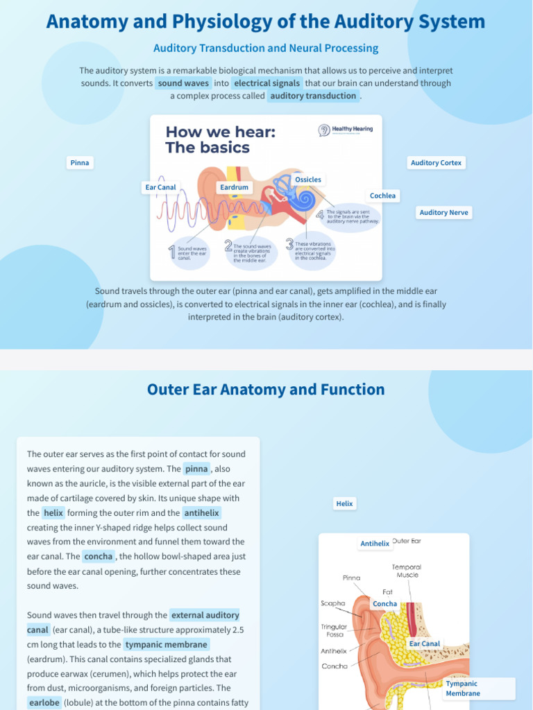Anatomy and Physiology of The Auditory System | PDF | Auditory System | Ear