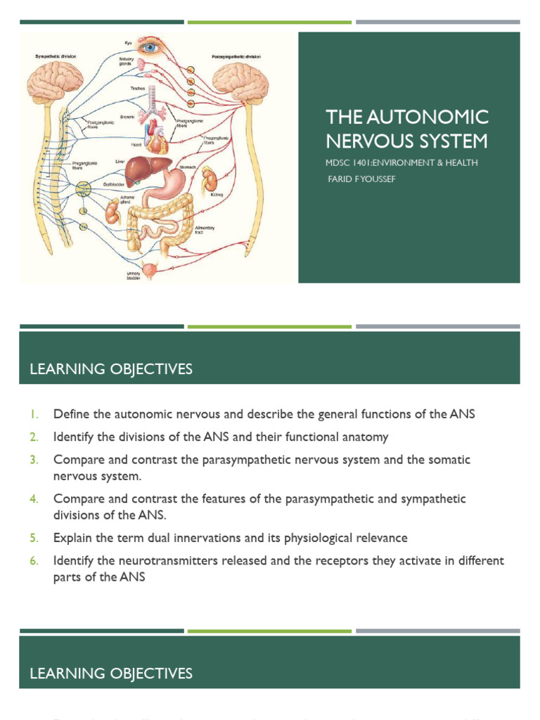 The Autonomic System 2025 | PDF | Acetylcholine | Autonomic Nervous System
