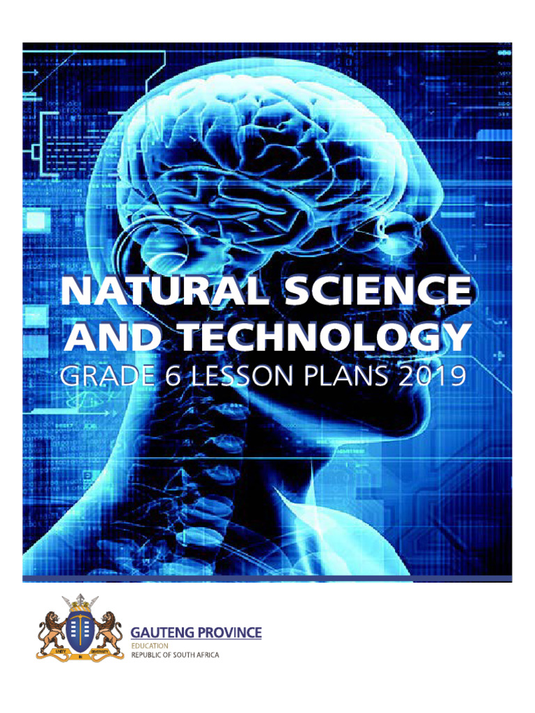 Grade 6 NST Term 3 Lessons Plans | PDF