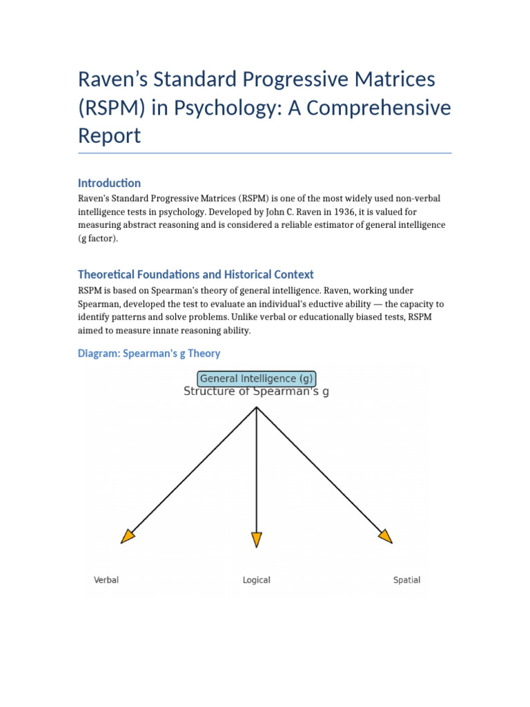 RSPM Report With Diagrams | PDF