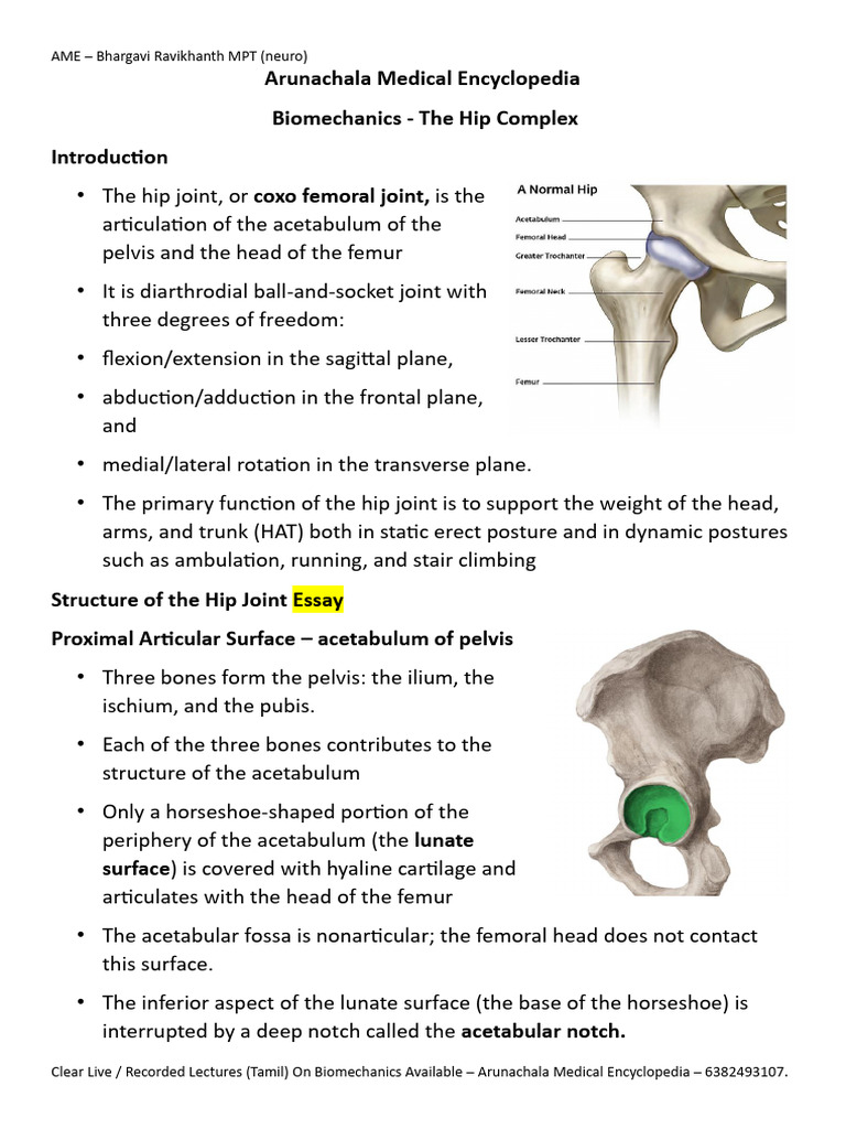 BPT Biomechanics Notes Booklet Hip Complex | PDF | Pelvis | Hip
