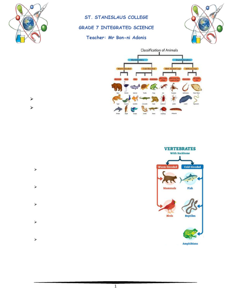 Classification of Animals | PDF | Amphibian | Reptile