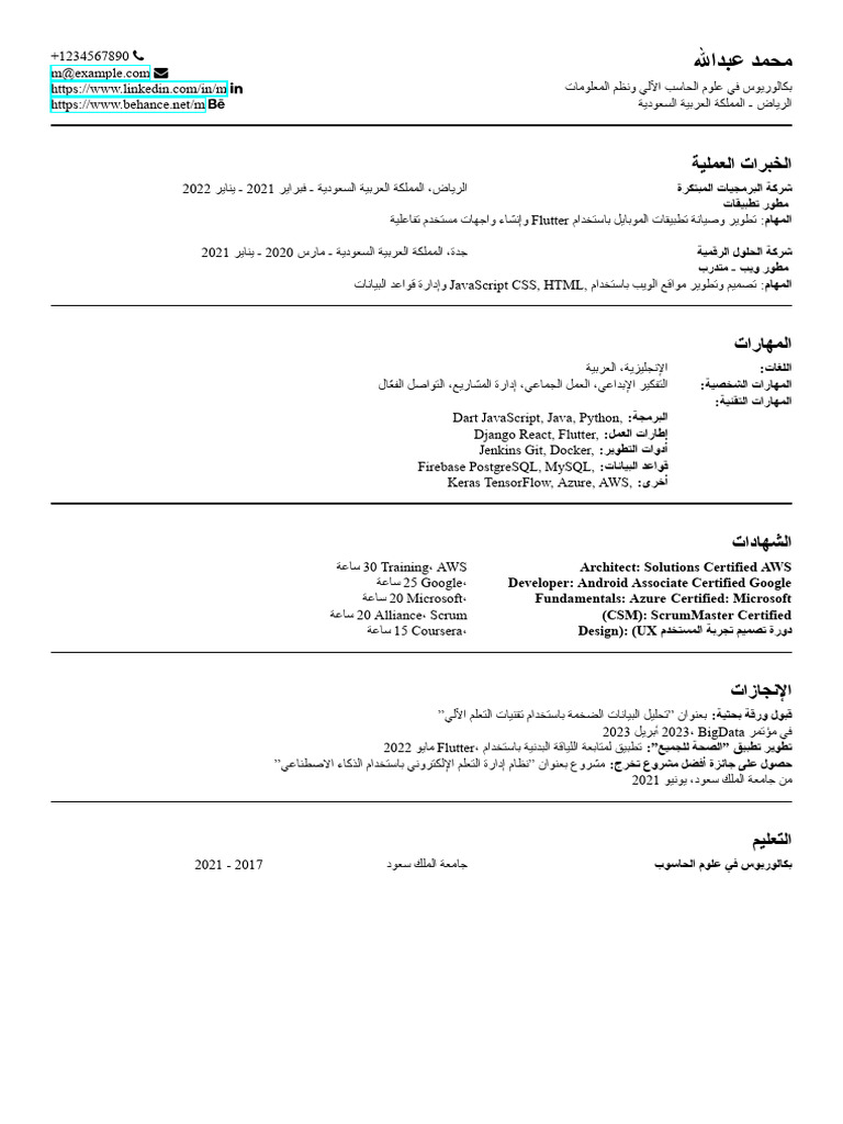 ATS_Compatible_Arabic_CV_Template | PDF | Computer Programming ...
