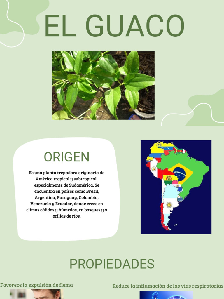 El Guaco | PDF
