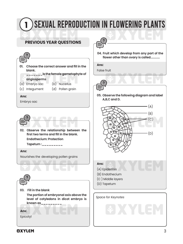 Revision Material - Botany - 01 | PDF | Biology | Botany