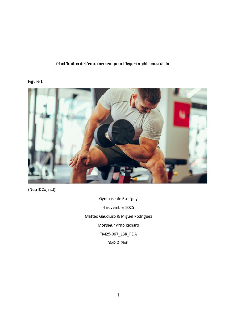 Gaudiuso Matteo Rodriguez Miguel 3m2 2m1 LBR RDA | PDF | Musculation ...