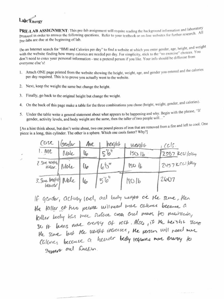 Lab #7 | PDF