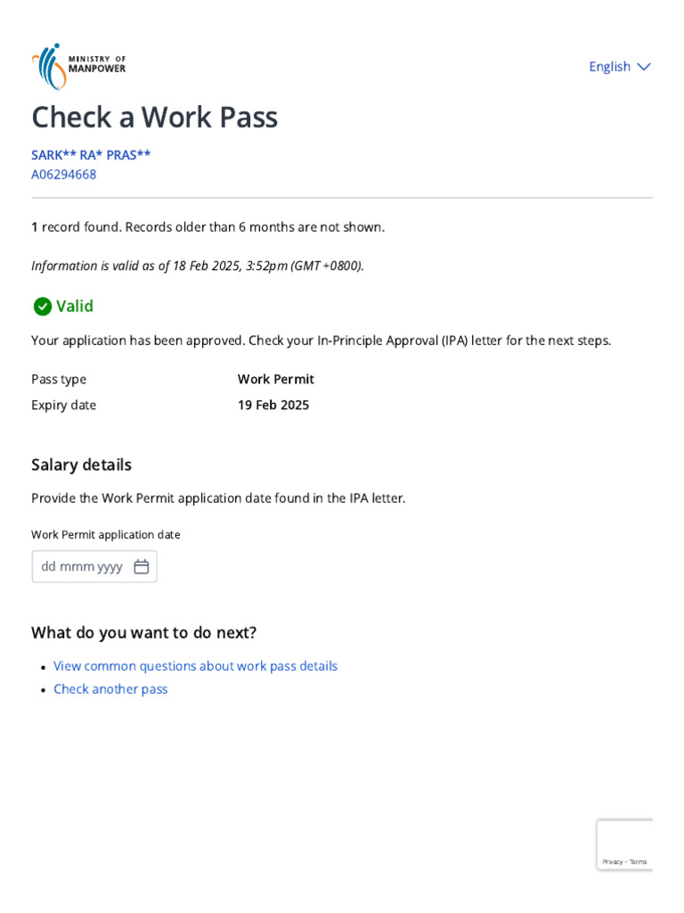 MOM _ Check a Work Pass (1) | PDF