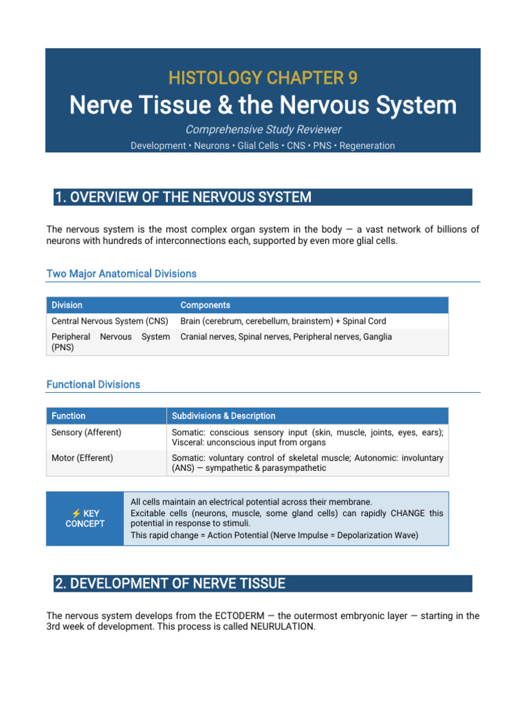 Inbound 4190957262431165932 | PDF | Axon | Nervous System