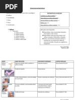 Avaliação da Manobra de Raimiste | PDF | Olho humano | Sistema nervoso