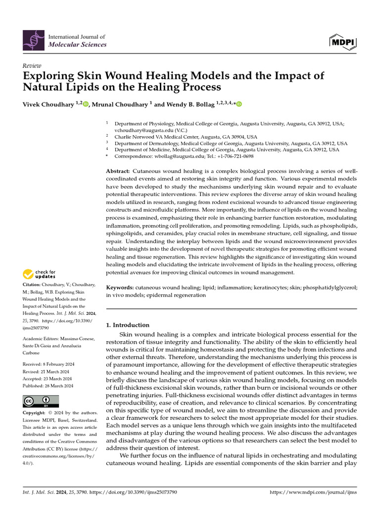 Skin and Wound Healing | PDF | Wound Healing | Epidermis