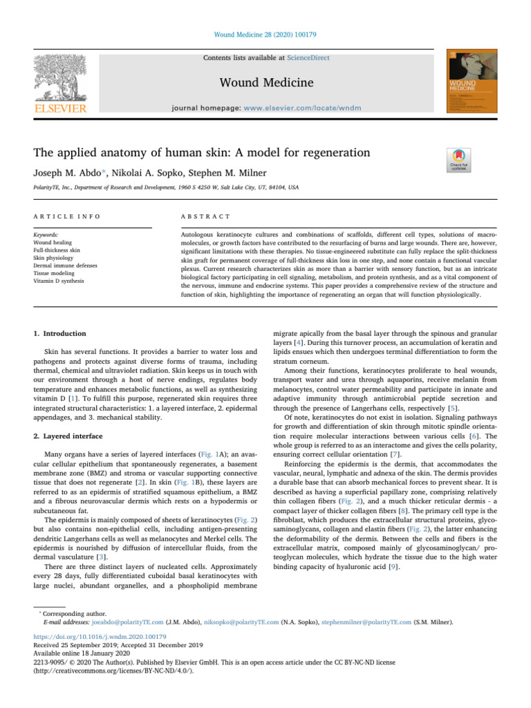 The Applied Anatomy of Human Skin - Abdo Et Al.,2020 | PDF | Epidermis ...