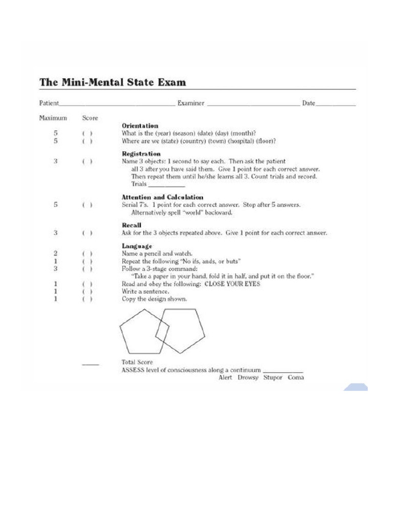 MSE Form | PDF