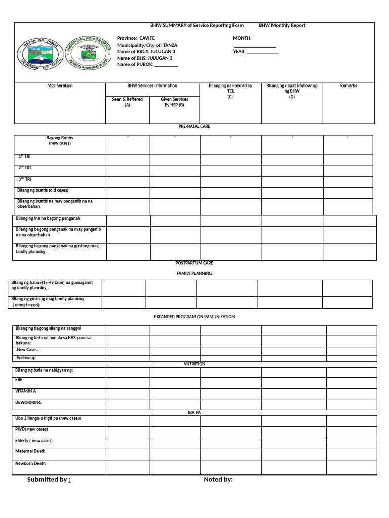 BHW SUMMARY of Service Reporting Form BHW Monthly Report | PDF