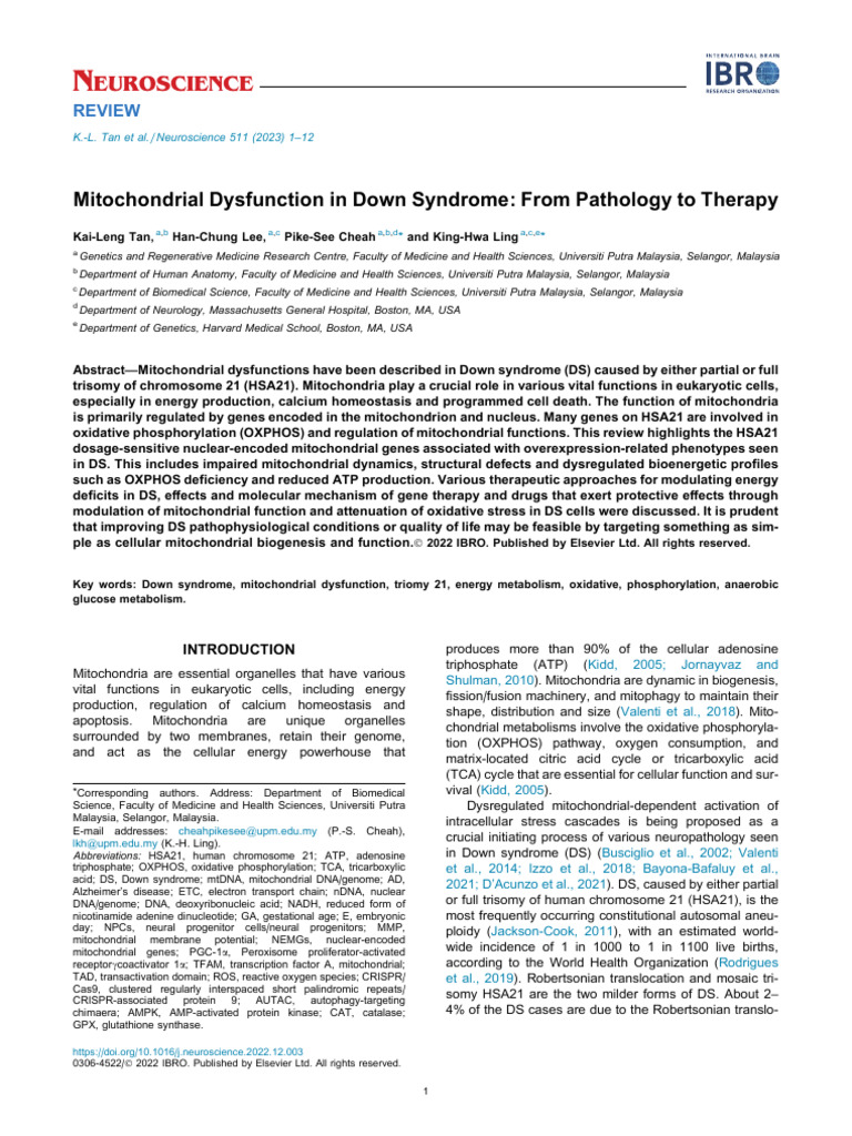 Mitochondrial Dysfunction in Down Syndrome: From Pathology To Therapy ...
