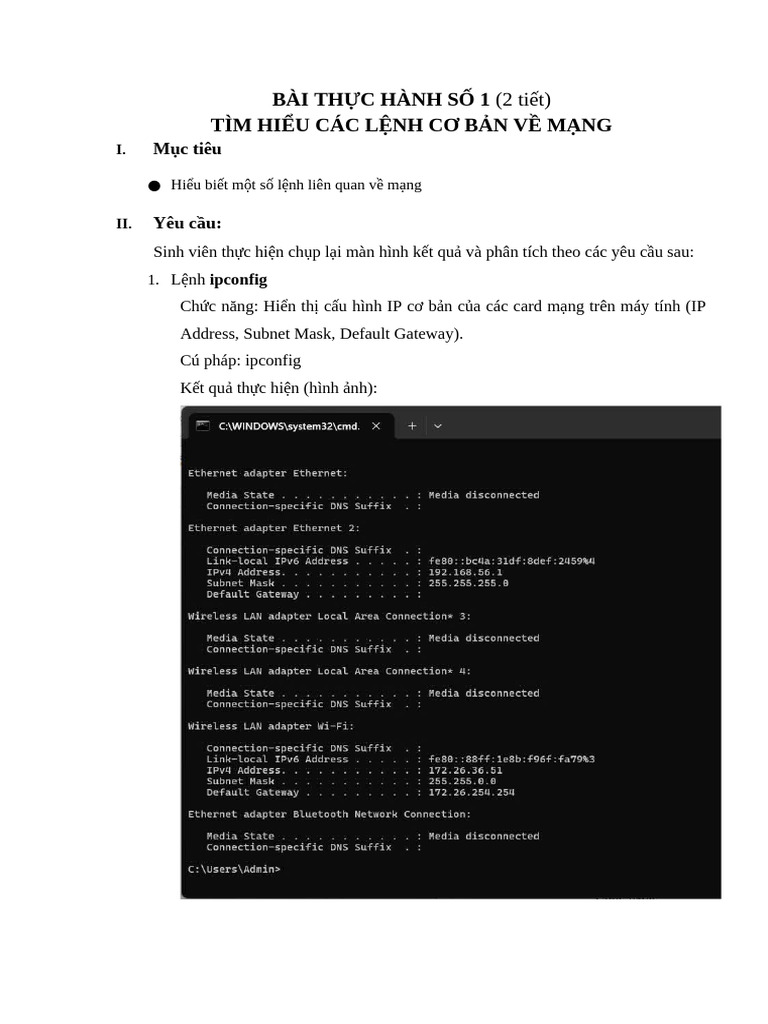 Lab 1 Tim Hieu Cac Lenh Co Ban Ve Mang | PDF