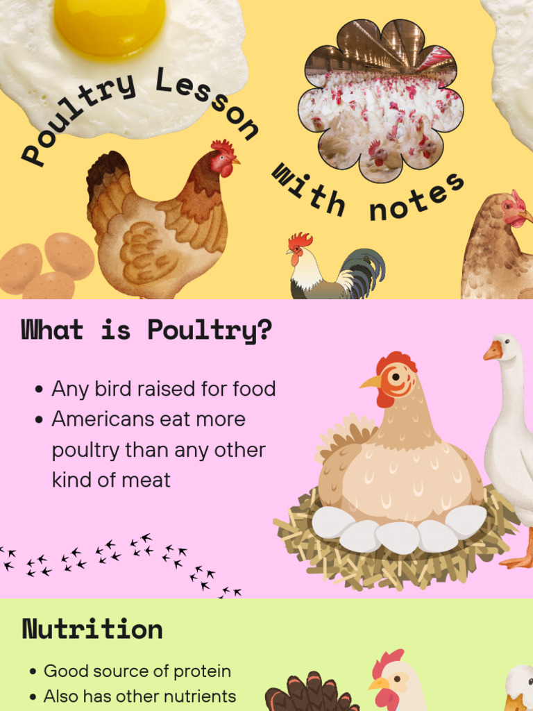 Poultry Lesson | PDF