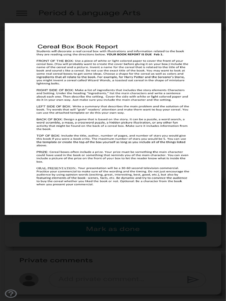Book Report Project | PDF