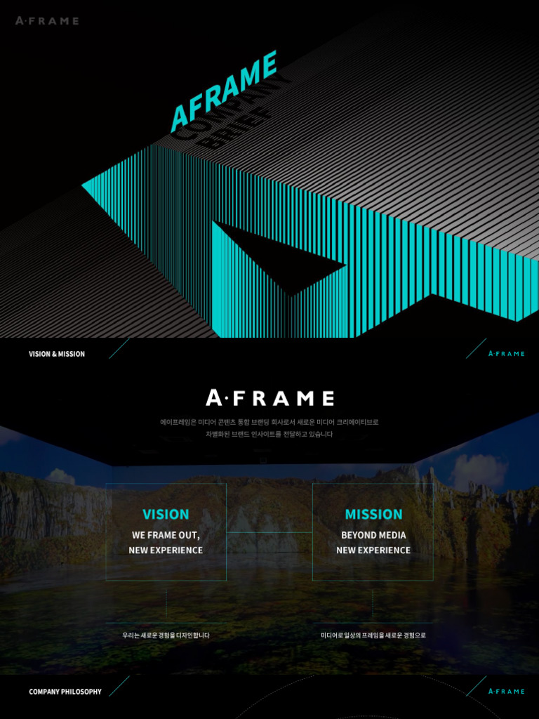 AFRAME Company Brief 2025 | PDF