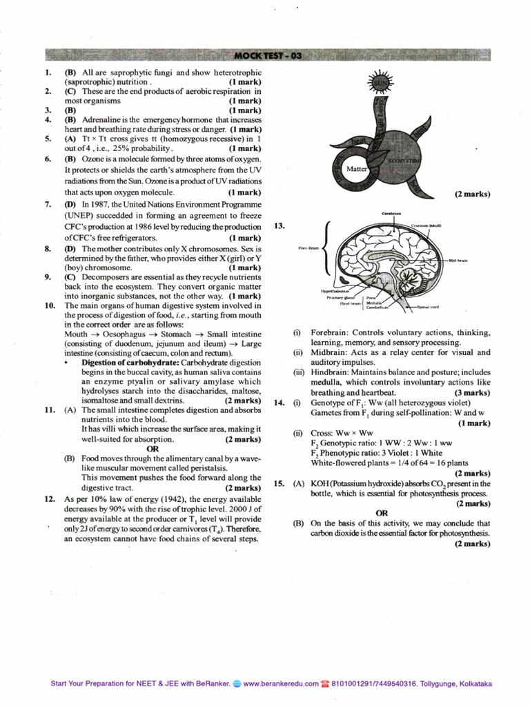 Science Mock Test-03 Solution | PDF