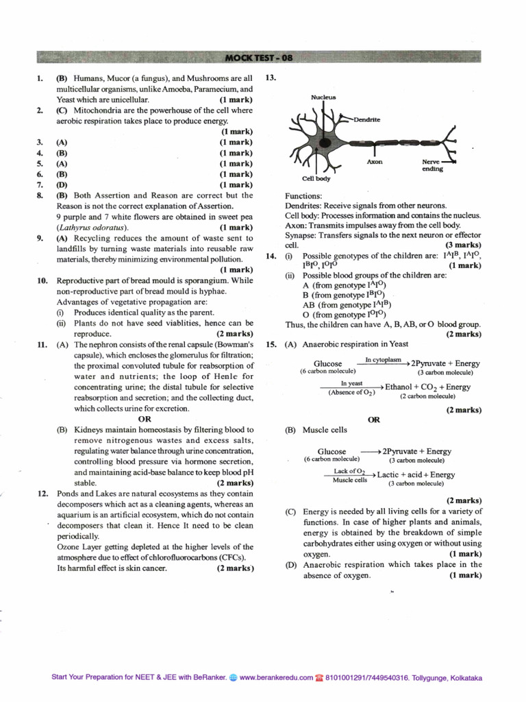 Science Mock Test-08 Solution | PDF
