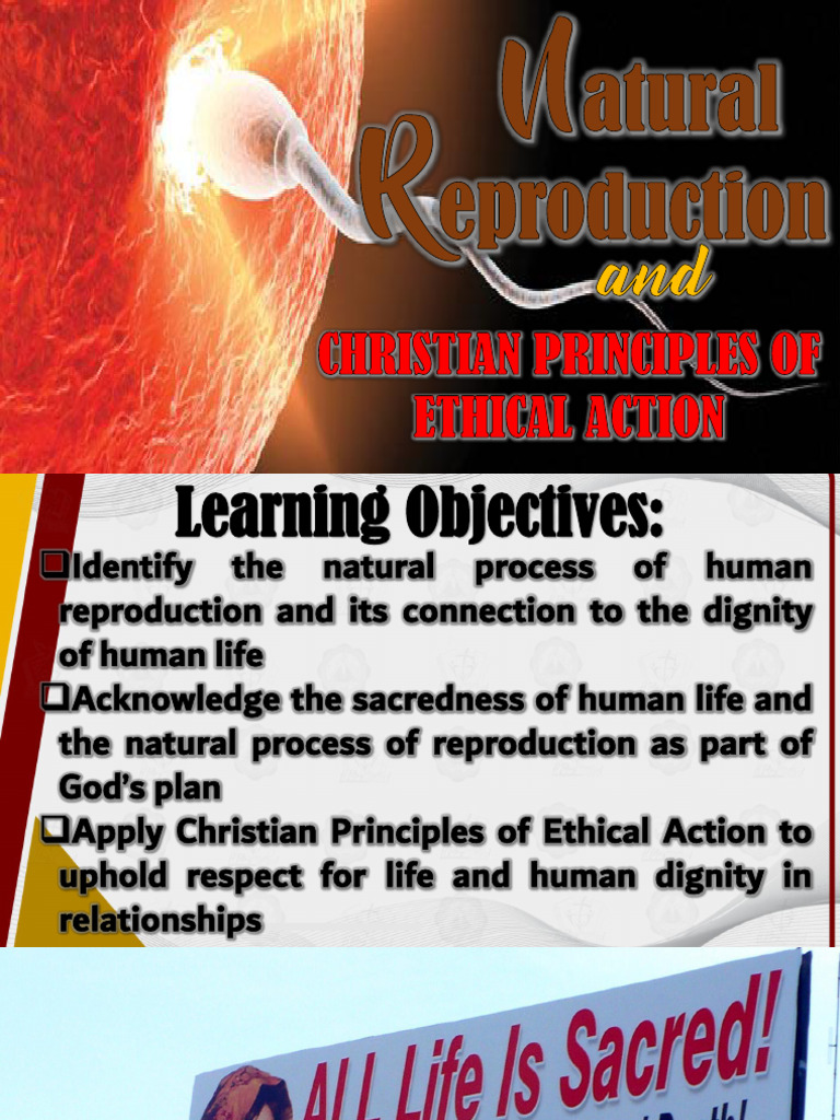Met 4 Natural Reproduction and Bio Ethical Principles | PDF ...