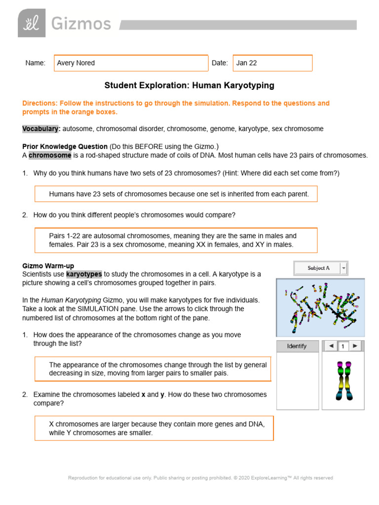 AP Bio - Human Karyotyping | PDF | Chromosome | Karyotype