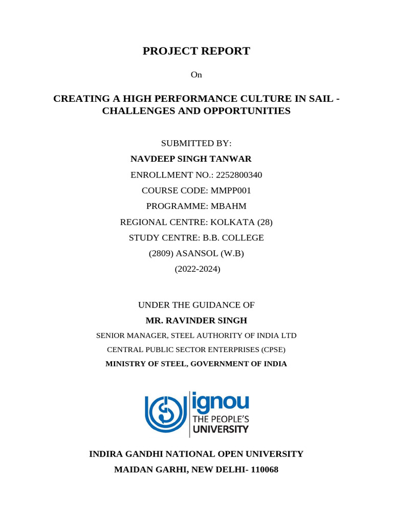 Final Project | PDF | Performance Indicator | Change Management