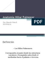 Anatomía Hiliar Pulmonar