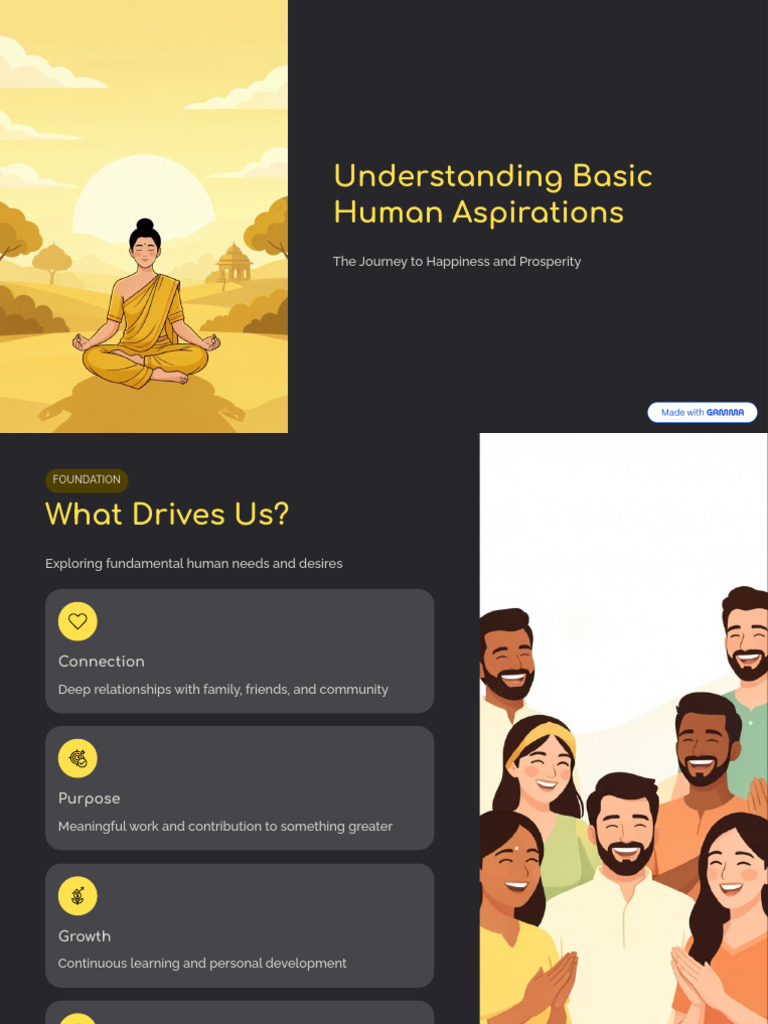 Understanding Basic Human Aspirations | PDF | Well Being | Happiness