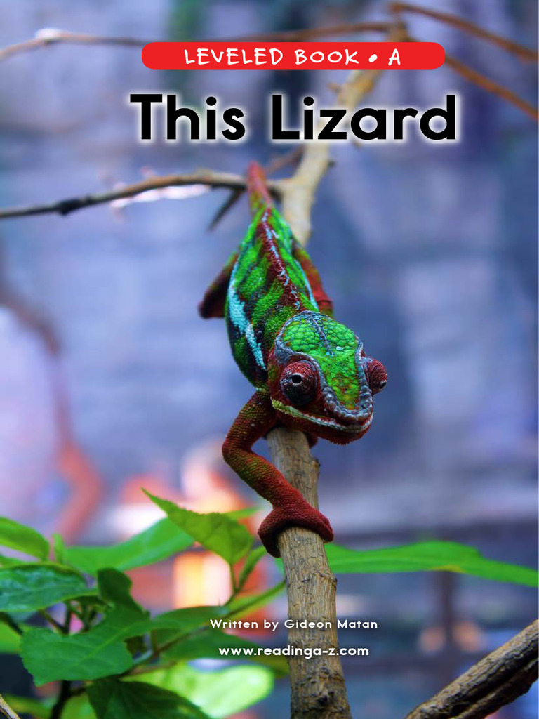 99 This Lizard Password Removed | PDF