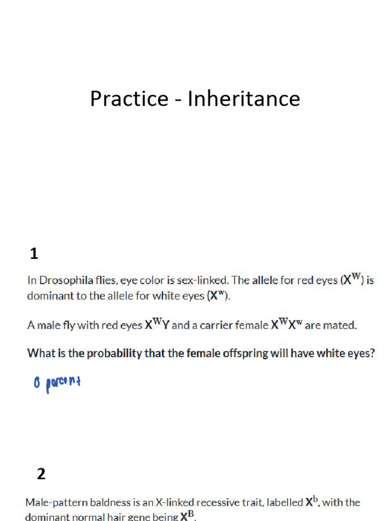 Practice - Inheritance | PDF
