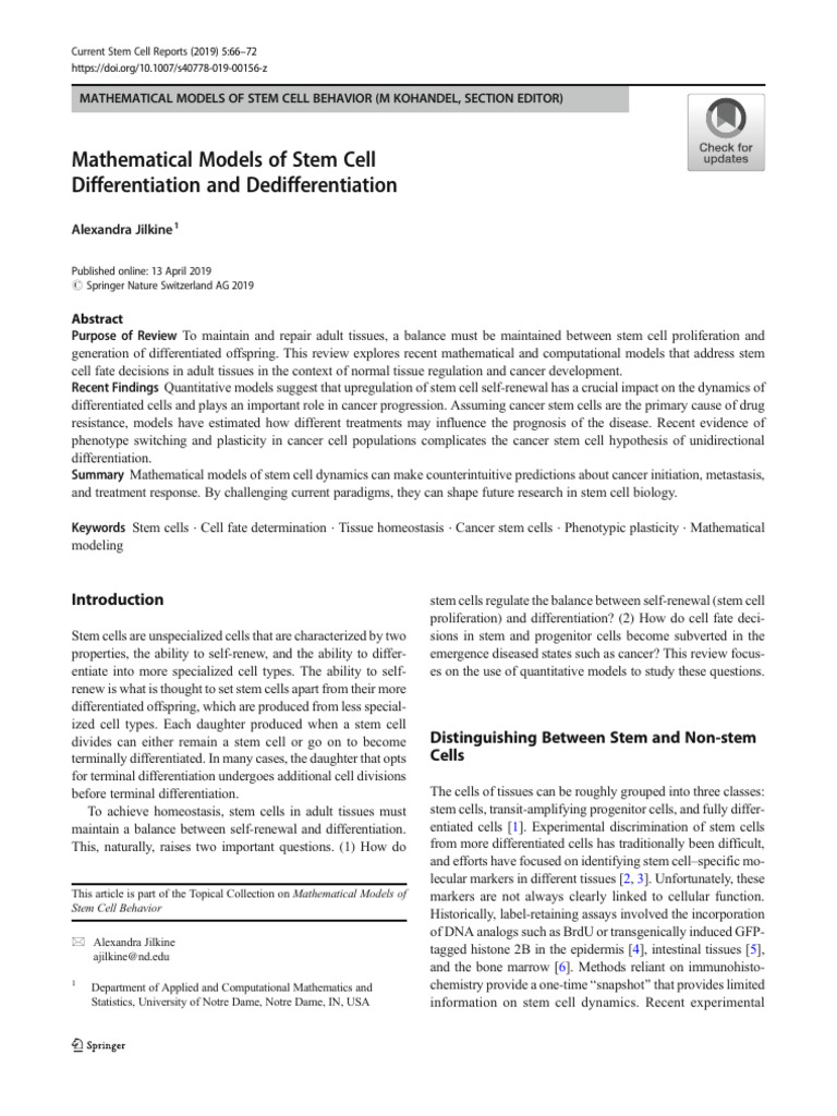 Mathematical Models of Stem Cell Differentiation and Dedifferentiation ...