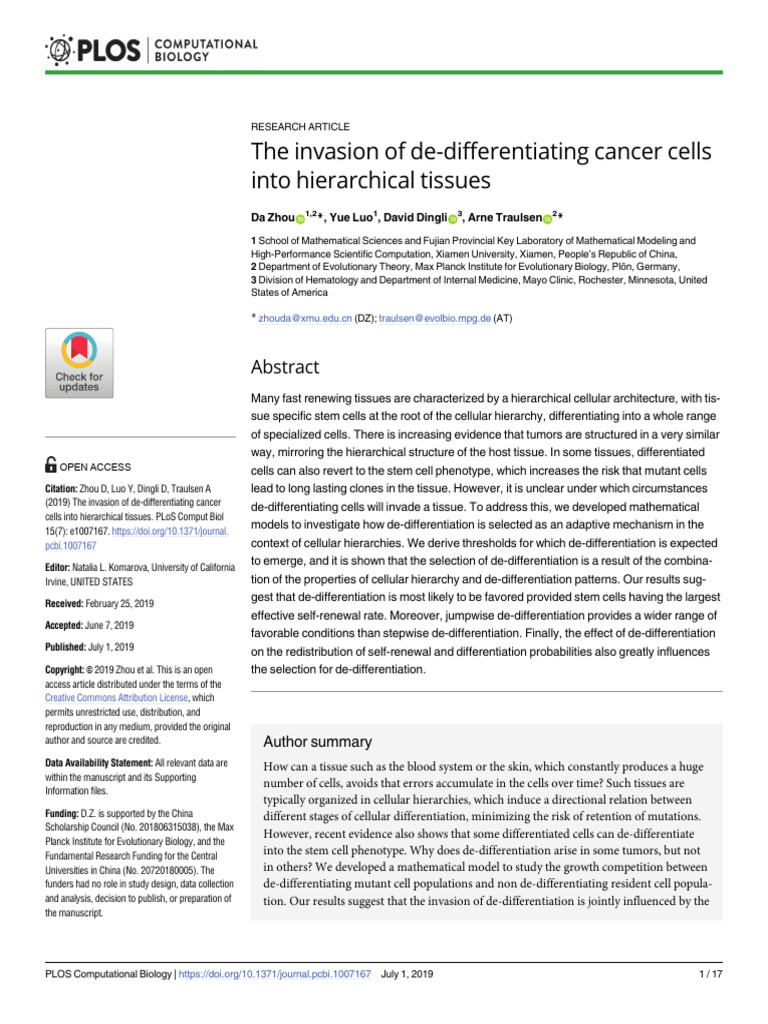 The Invasion of de-differentiating Cancer Cells Into Hierarchical ...