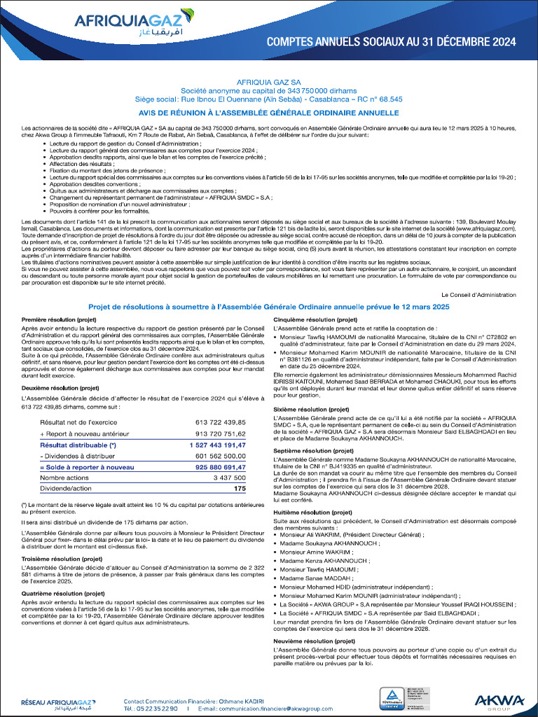 AFG - Resultats Annuels 2024 | PDF