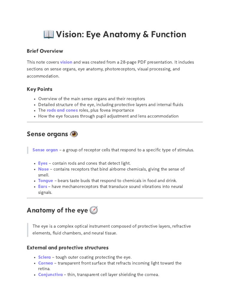 Sense Organs 2 | PDF | Eye | Retina