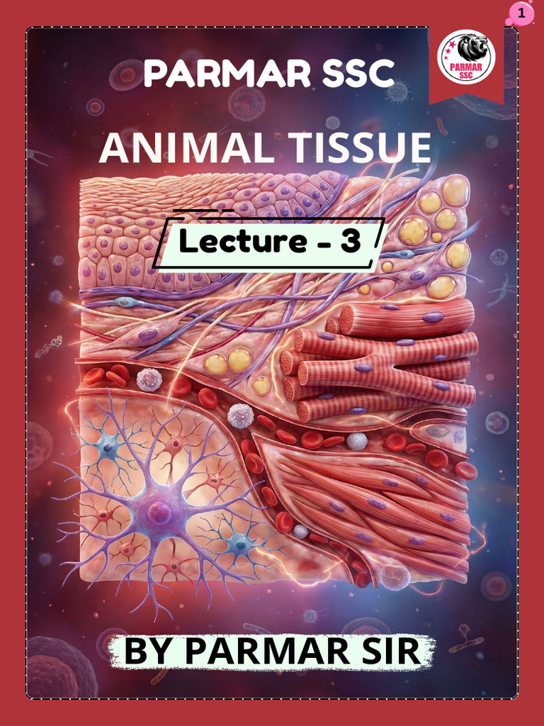 Animal Tissue English PDF | PDF | Epithelium | Muscle