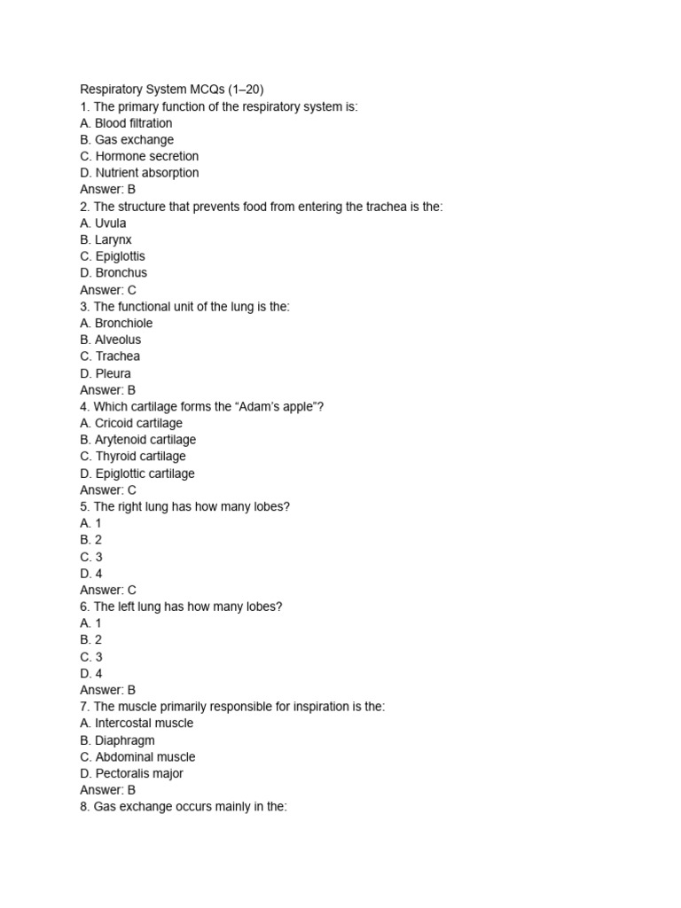 Respiratory System Questions and Answers | PDF | Respiratory Tract | Lung