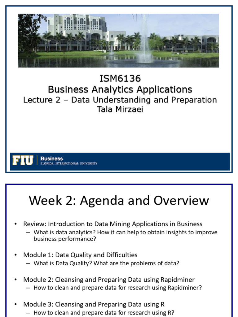Lecture 2 - Data Understanding and Preparation | PDF | Categorical ...