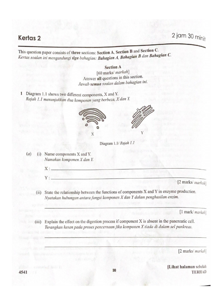 Exam 2 Paper 2 | PDF