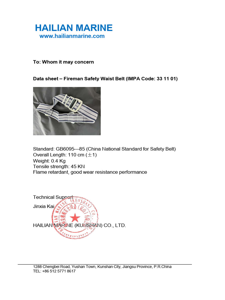 Safety Belt | PDF