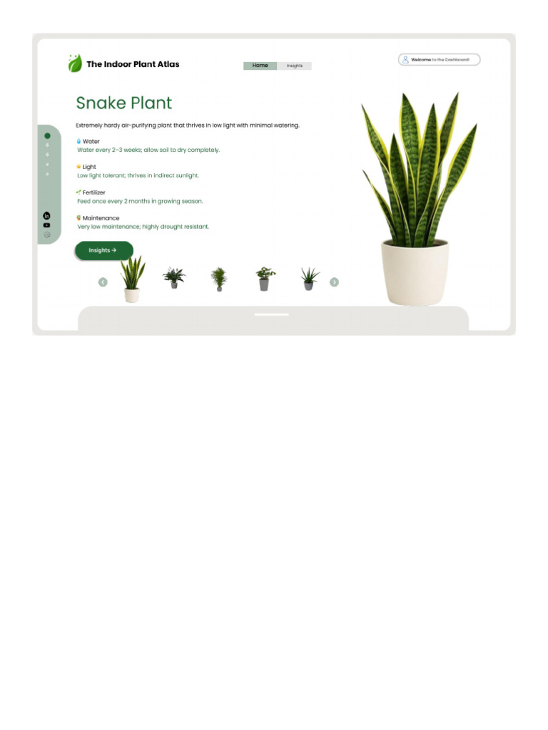 The Indoor Plant Atlas | PDF | Plants