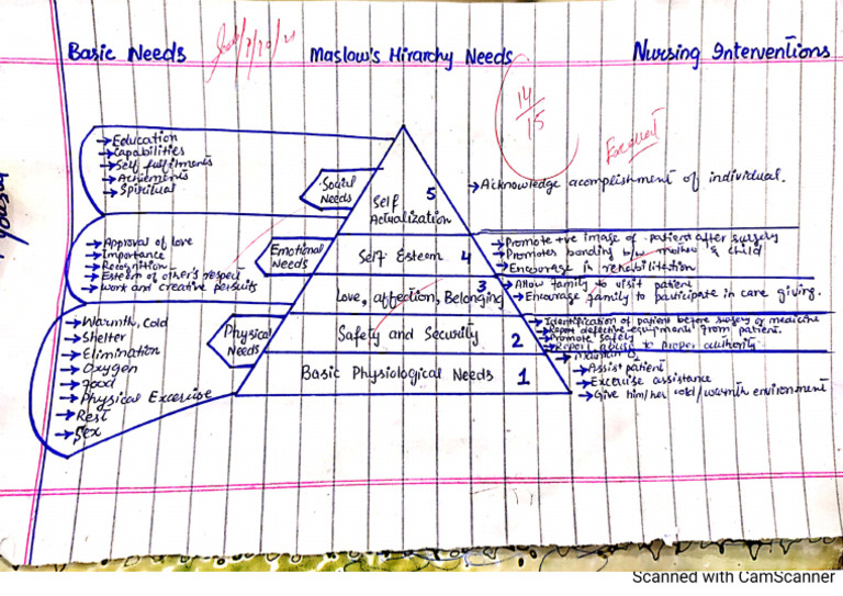 Maslow's Hierarchy of Needs | PDF