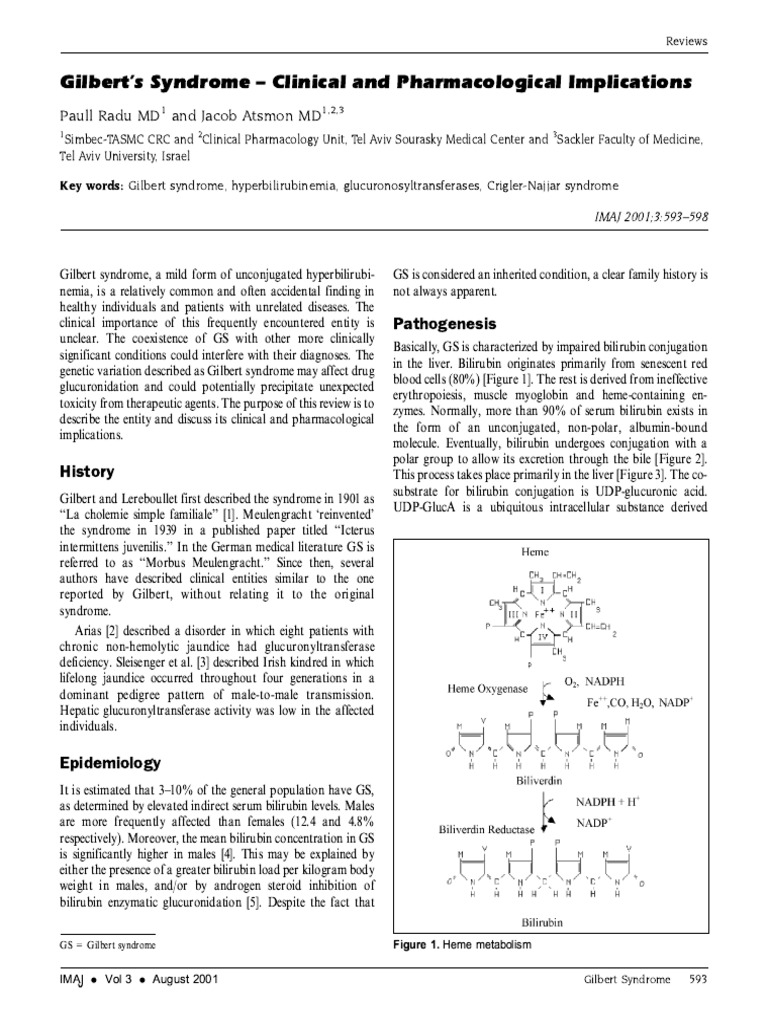 Gilberts Syndrom - Basic Extended | PDF