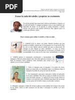 Download Frenar La Cada Del Cabello y Propiciar Su Crecimiento by Medianoche SN10079739 doc pdf