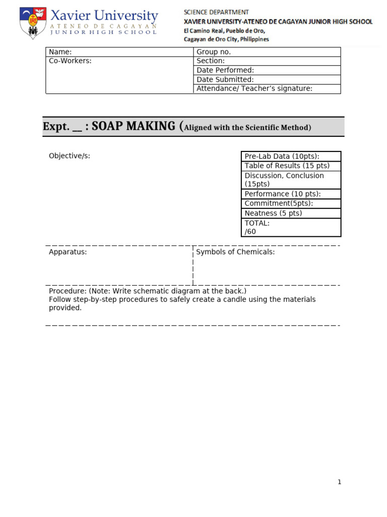 g9 Science Laboratory Report Soap Final | PDF | Cognition | Cognitive ...