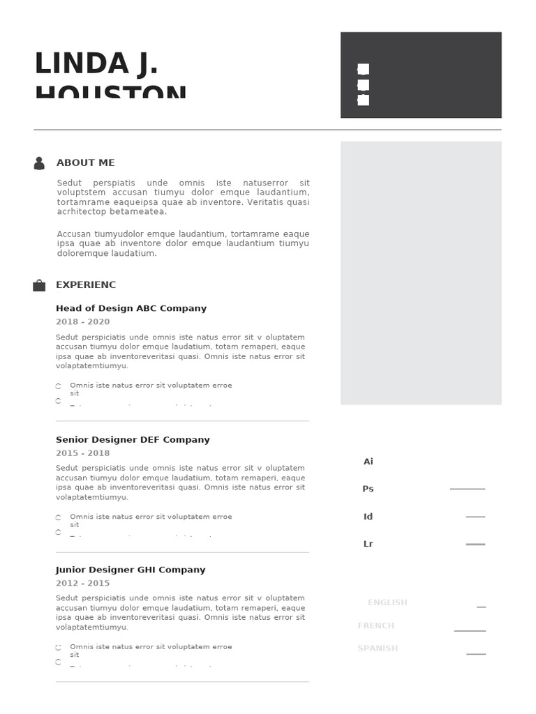 Professional CV Resume Template 2 | PDF